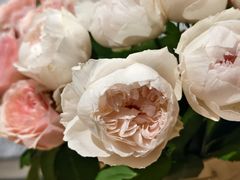 -循礼门鲜花花市(武汉循礼门店)