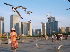 -东港音乐喷泉广场