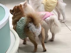 -怪兽屋·羊驼·猫咖·狗咖(俊华广场店)