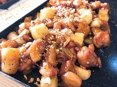 -DM CHICKEN 分米鸡