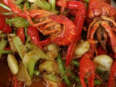 啤酒龙虾-龙虾风暴(松江店)