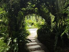 -深圳仙湖植物园