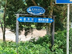 -银湖山郊野公园-相思林