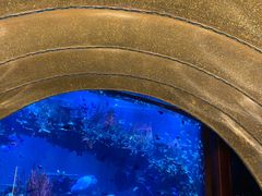 -迪拜帆船酒店海底餐厅