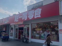 -赵一鸣零食(佛山乐平镇华盛广场店)