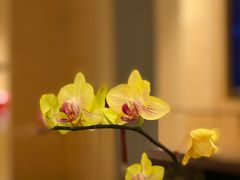 -杭州城中香格里拉大酒店