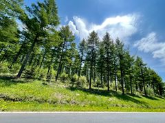 -塞罕坝国家级自然保护区