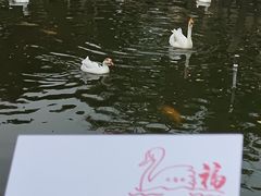-苏州碑刻博物馆