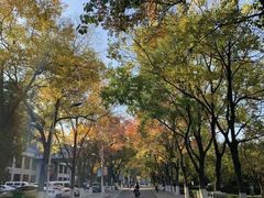 -河南师范大学(主校区)