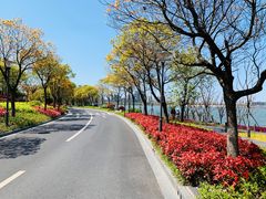 -上海滴水湖皇冠假日酒店