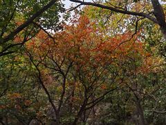 -天津盘山风景名胜区