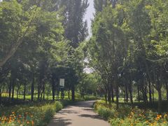 -东郊湿地公园