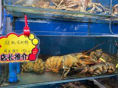 -蚝专家(北滘店)