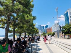 -海云台海滩