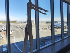 -米兰-马尔彭萨机场