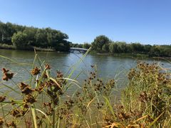 -大兴滨河森林公园