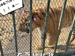 -无锡动物园·太湖欢乐园