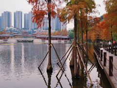 -重庆彩云湖湿地公园