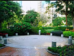 -九龙公园