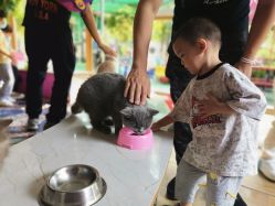 -萌宠亲子动物乐园(槐房万达店)