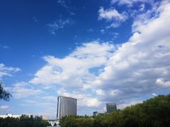 -青城公园