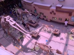 -陕西自然博物馆