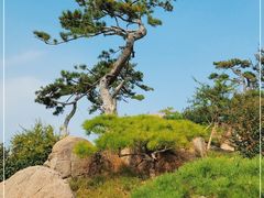 -罗红摄影艺术馆