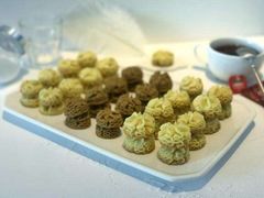 -珍妮曲奇聪明小熊(尖沙咀店)