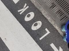 -圣淘沙天际线斜坡滑车