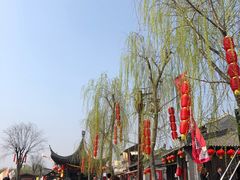 -茯茶镇