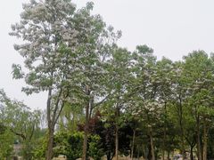 -太阳宫公园