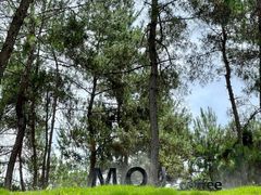 -楠溪江风景名胜区