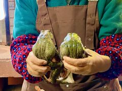 -邓莽子老火锅(中兴路总店)