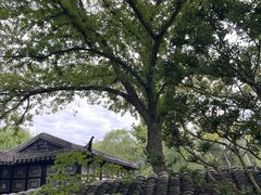 -拙政园