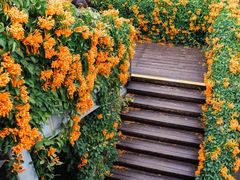 -光明小镇欢乐田园