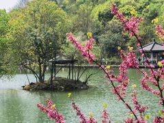 -千岛湖东南湖区