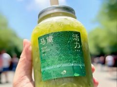 -成都南湖公园