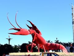 -虾皇(龙虾城旗舰店)