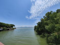 -深圳湾公园(南山区)
