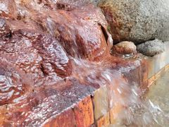 -三江森林温泉度假区