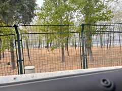-河北村民俗体验园