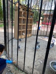 -优沃得自然教育农场·冰雪乐园·生日会·研学