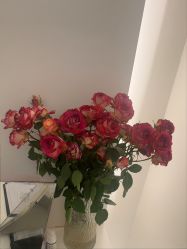-苑苑vbeauty科技美容SPA