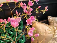 -31号公馆·百年府邸潇湘臻味