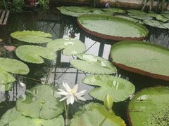 -国家植物园南园