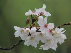 -堤角公园