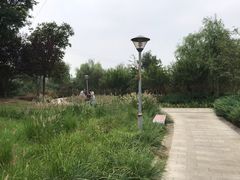 -石榴庄公园