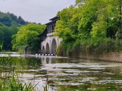 -长广溪湿地公园
