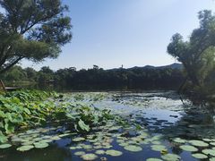 -承德避暑山庄景区