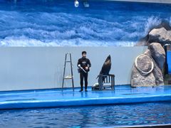 -福州罗源湾海洋世界旅游区